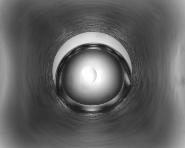 X0000087050287200704181243