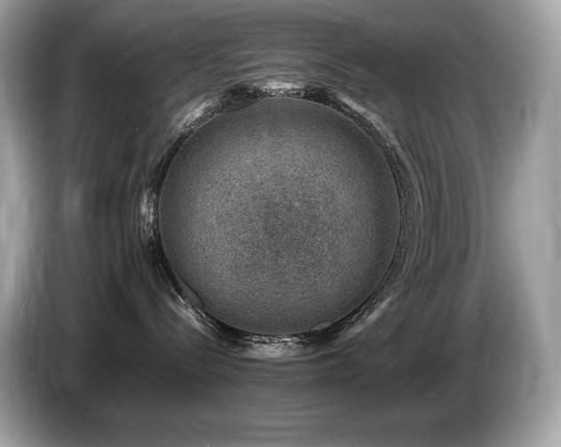 X0000087050288200704181244