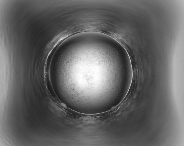 X0000087050290200704181243