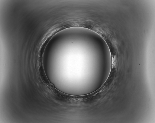 X0000087050291200704181243