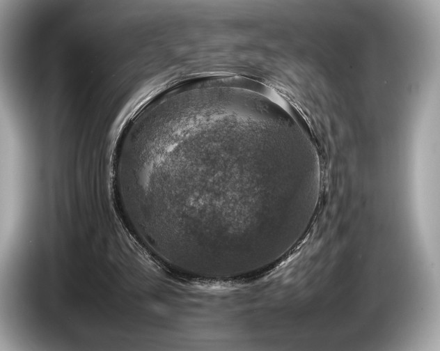 X0000087050293200704181243