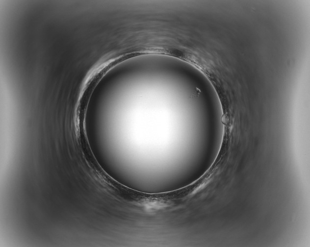 X0000087050294200704181243