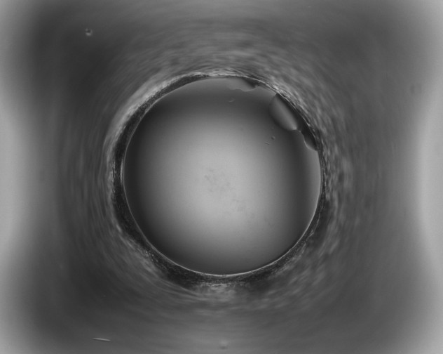 X0000087050295200704181243