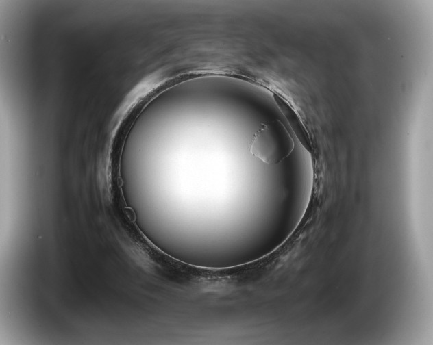 X0000087050296200704181243