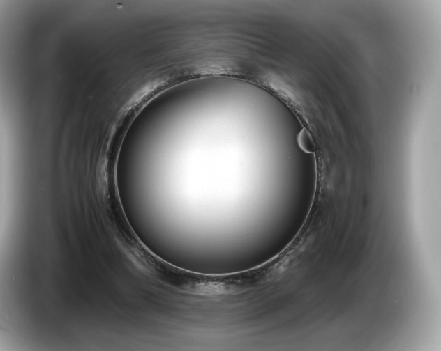 X0000087050298200704181243