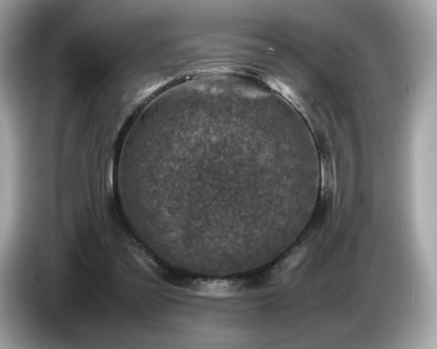 X0000087050301200704181243