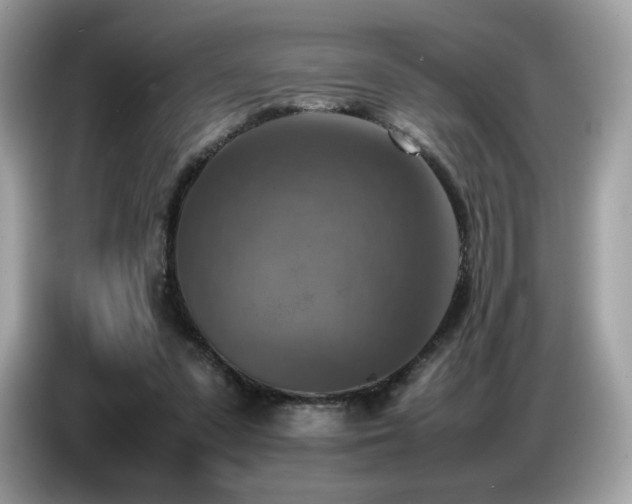 X0000087050303200704181243