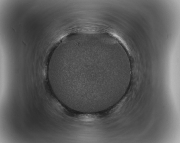 X0000087050305200704181243