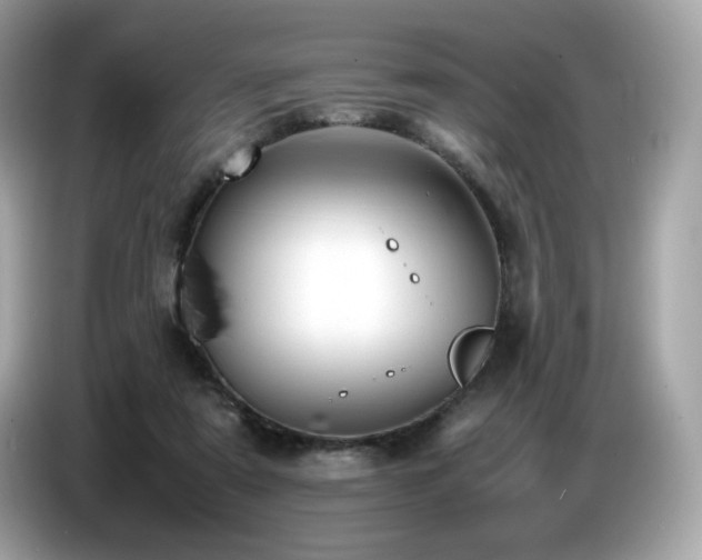 X0000087050307200704181243