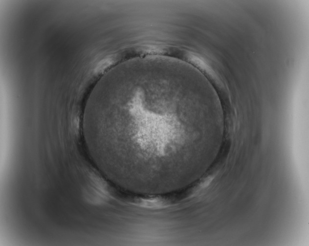 X0000087050309200704181243