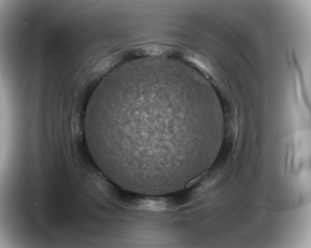 X0000087050317200704181242