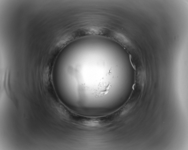 X0000087050318200704181242