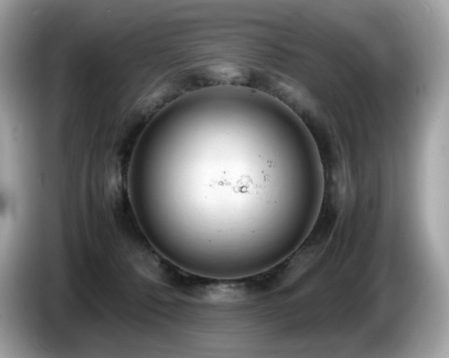 X0000087050320200704181242