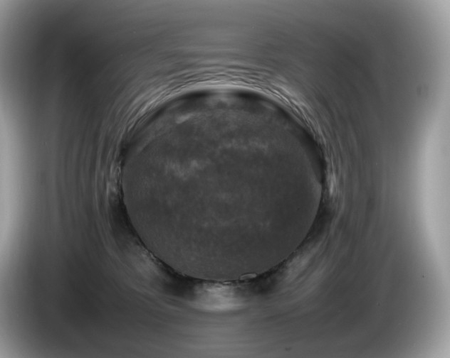 X0000087050325200704181242