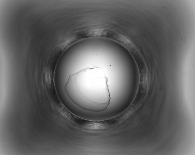 X0000087050326200704181242