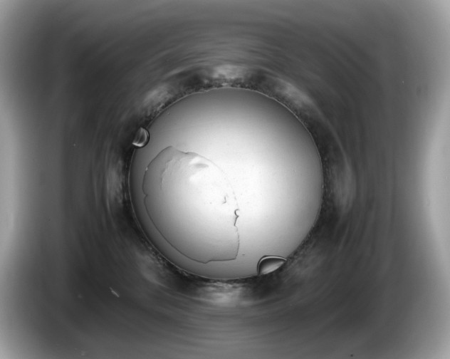 X0000087050328200704181242