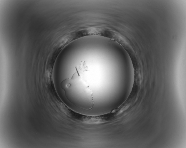 X0000087050329200704181242