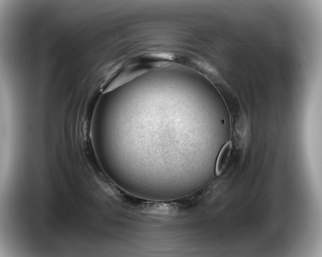 X0000087050330200704181242
