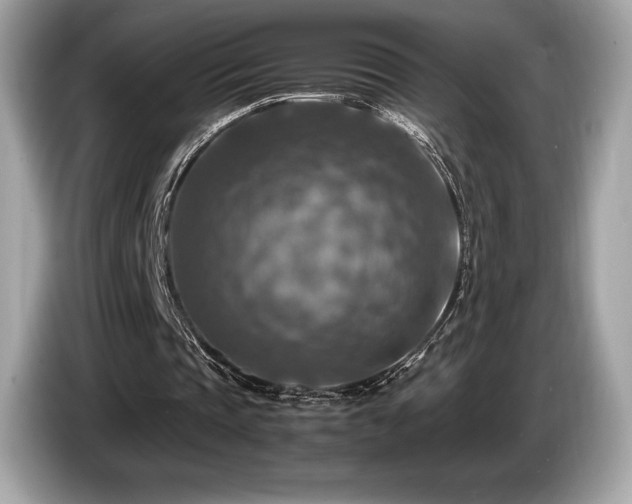 X0000087050337200704181242
