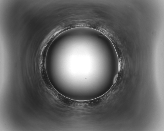 X0000087050339200704181242