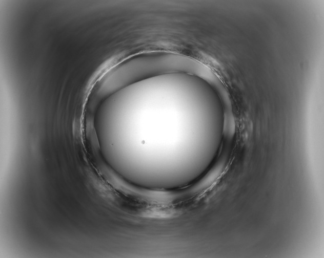 X0000087050340200704181242