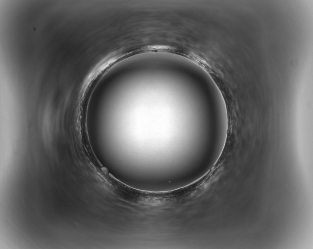 X0000087050341200704181242