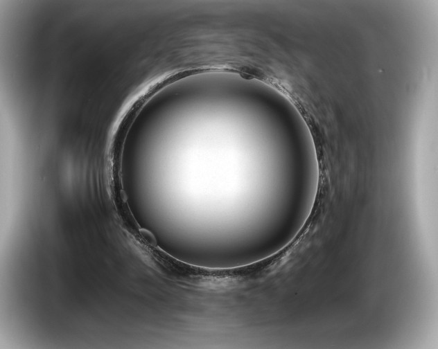 X0000087050342200704181242