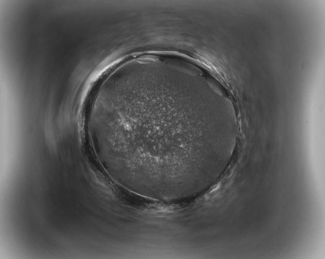 X0000087050343200704181242