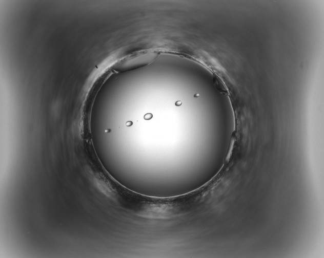 X0000087050344200704181242