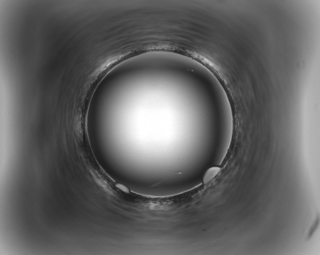X0000087050345200704181242