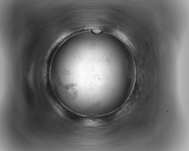 X0000087050346200704181242