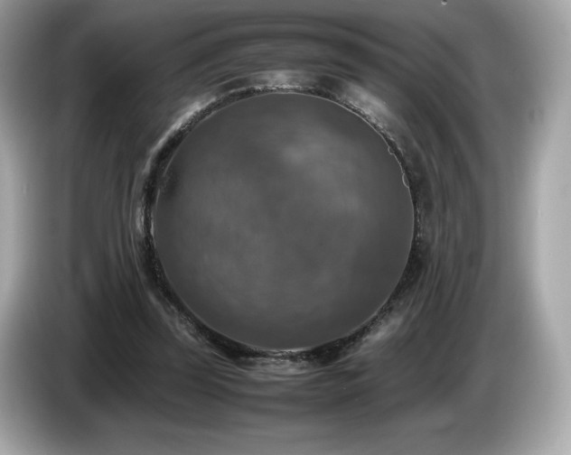 X0000087050347200704181242