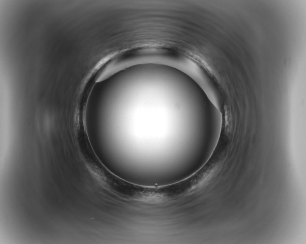 X0000087050348200704181242