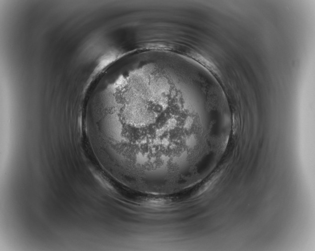 X0000087050349200704181242