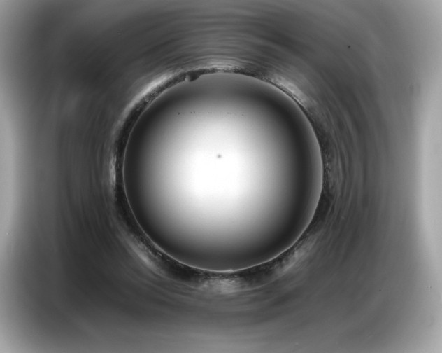 X0000087050350200704181242