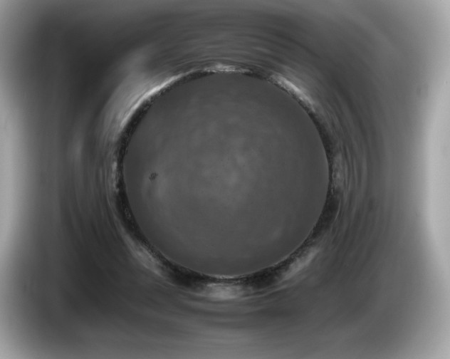 X0000087050351200704181242