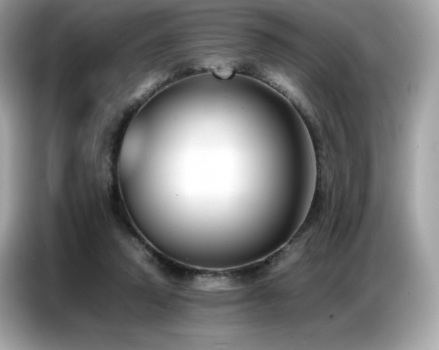 X0000087050354200704181242
