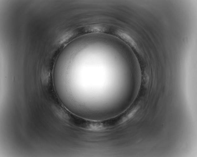 X0000087050355200704181242