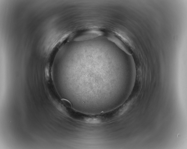 X0000087050358200704181242