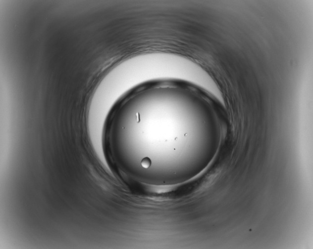 X0000087050360200704181242