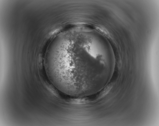 X0000087050366200704181242