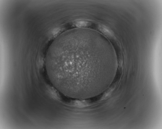 X0000087050367200704181242
