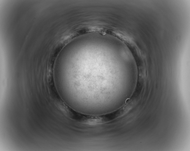 X0000087050369200704181242