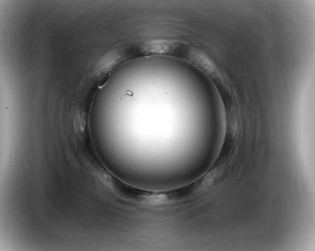 X0000087050374200704181242
