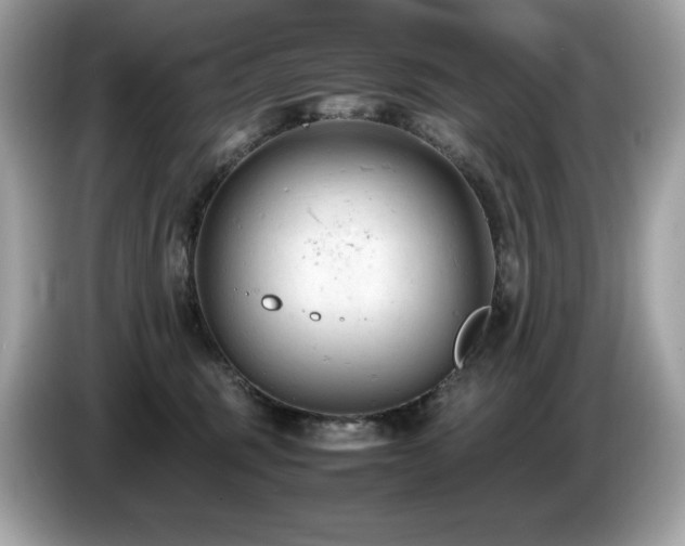 X0000087050375200704181242
