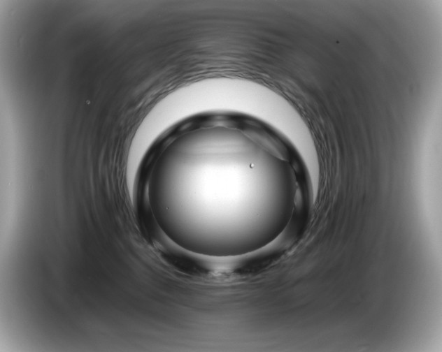 X0000087050376200704181242