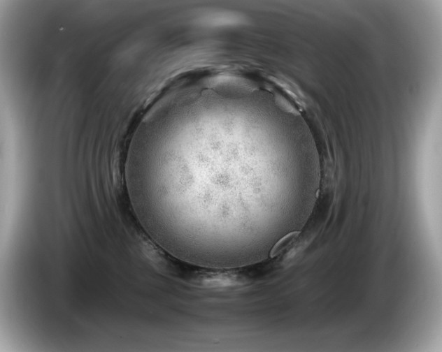 X0000087050377200704181242