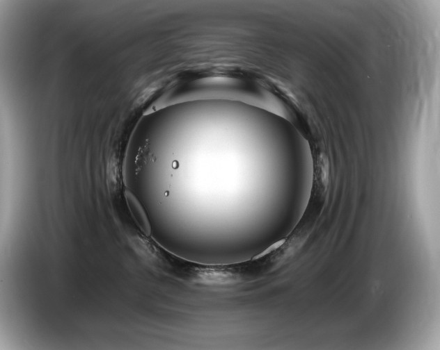 X0000087050380200704181242