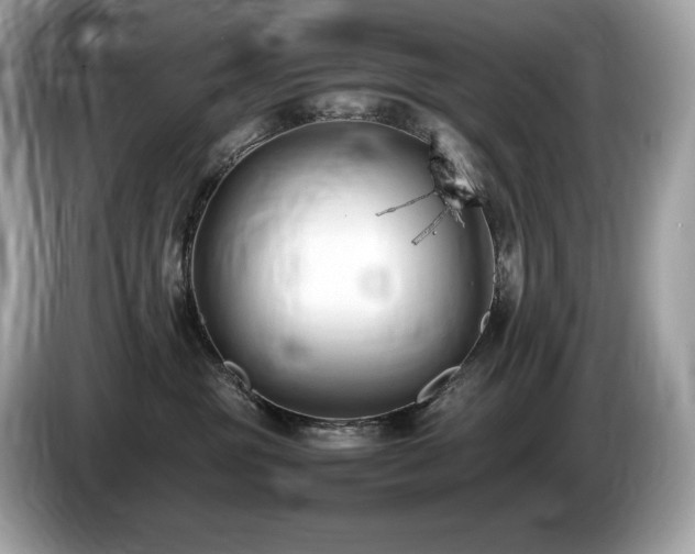 X0000087050381200704181242