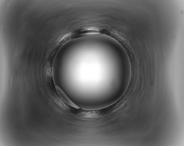X0000087050384200704181242